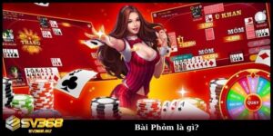 bai phom la gi