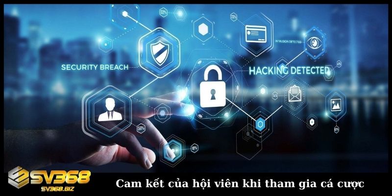Cam kết của hội viên khi tham gia cá cược