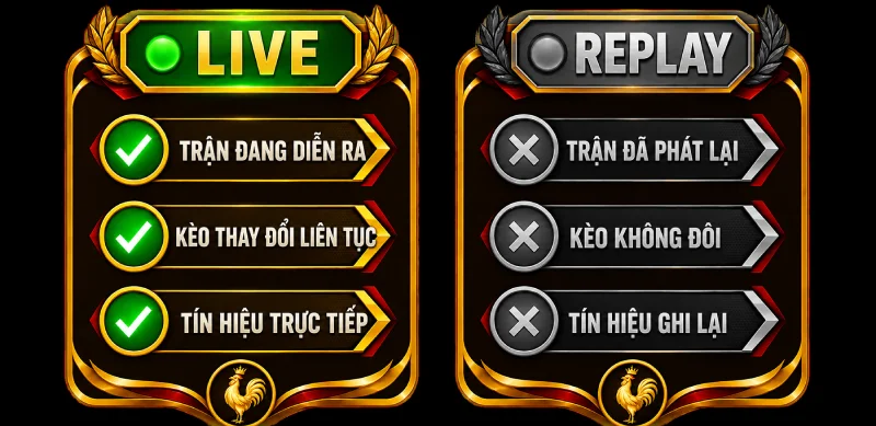 Cách nhận biết đá gà trực tiếp thật so với bản phát lại.